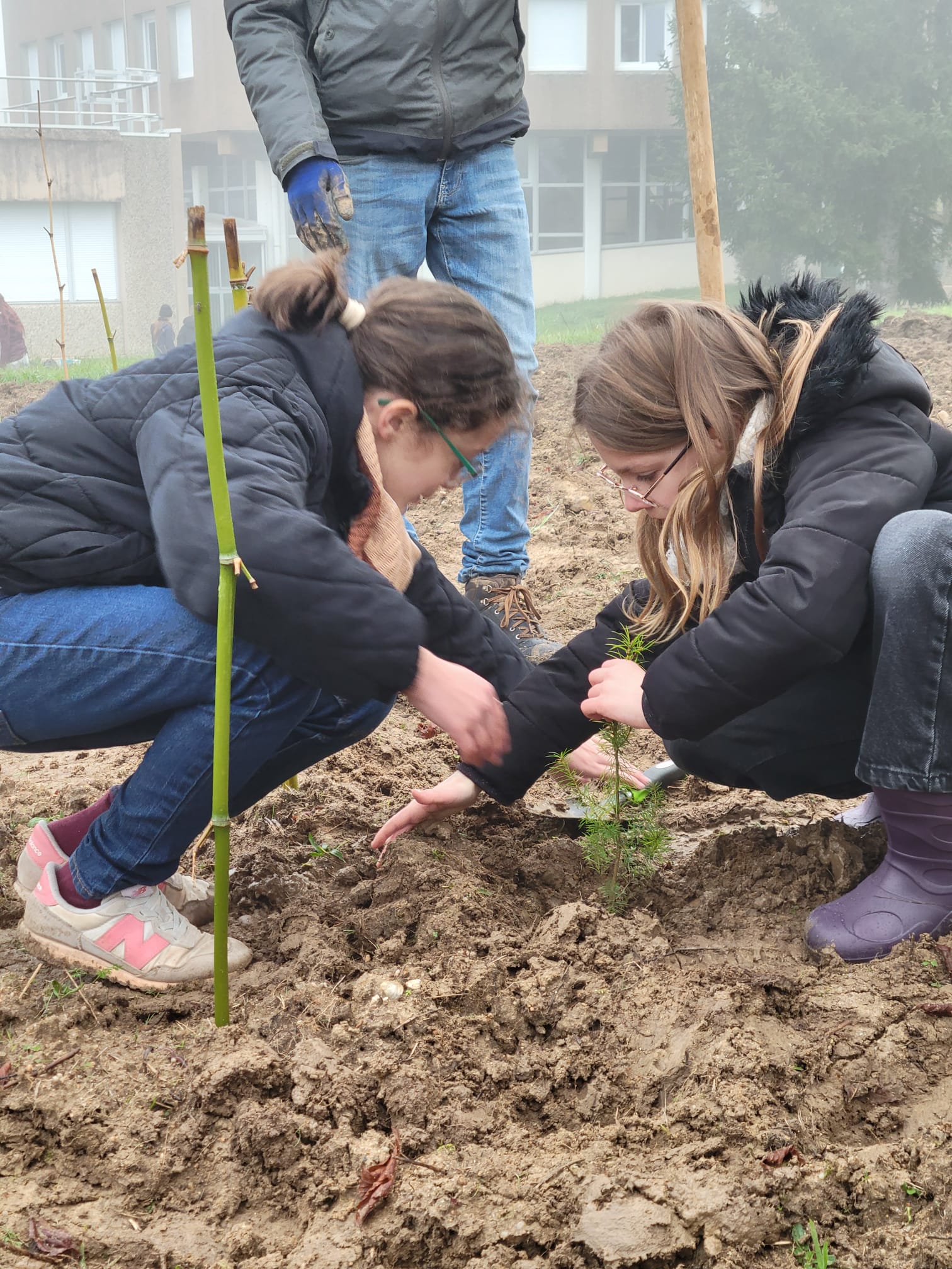 Plantation de la microforêt - Miyawaki