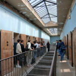 Sortie Lyon3e2026 (1)