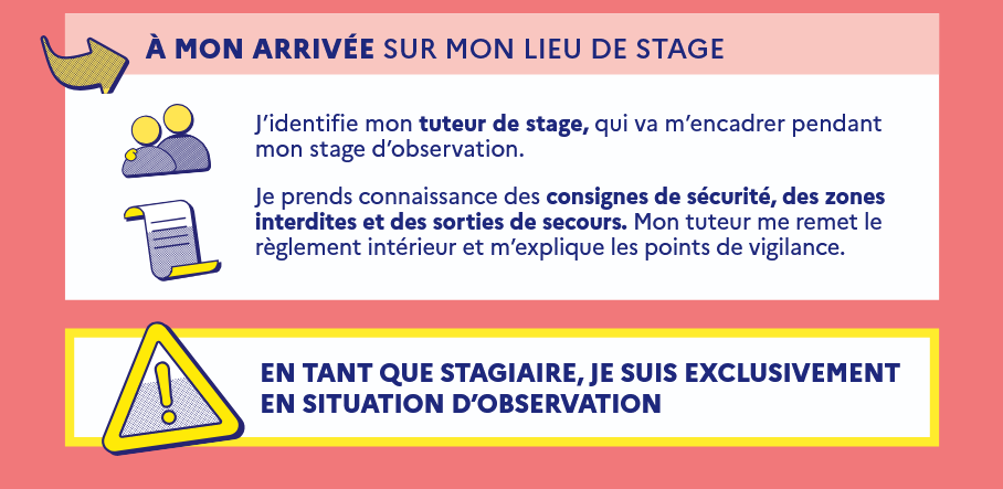 Stage 5
