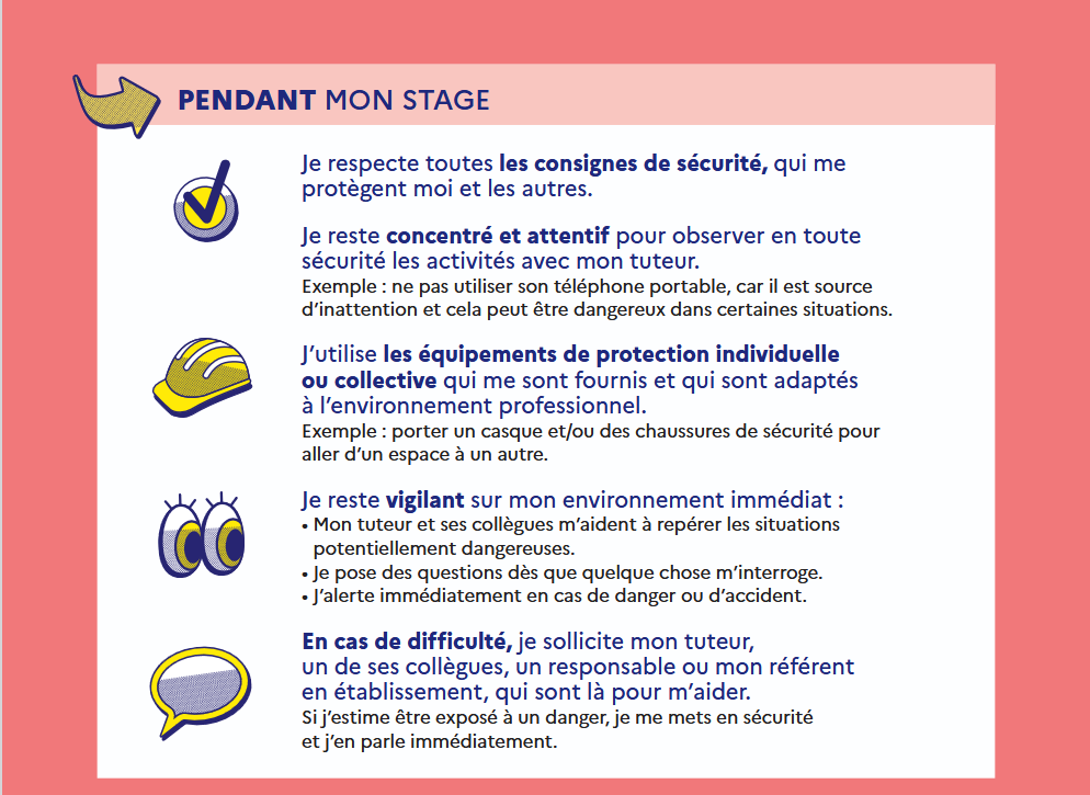 Stage 6