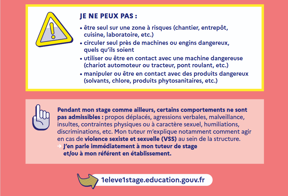 Stage 7